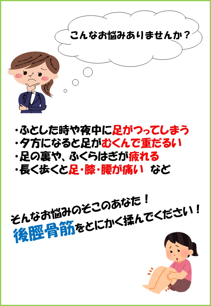 後脛骨筋　井上　①