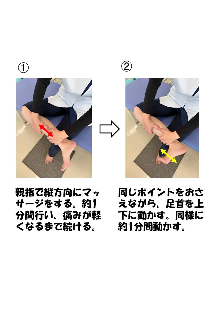 後脛骨筋⑤　井上